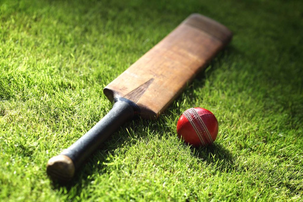 Cricket NSW Announces Season Start of 6th November